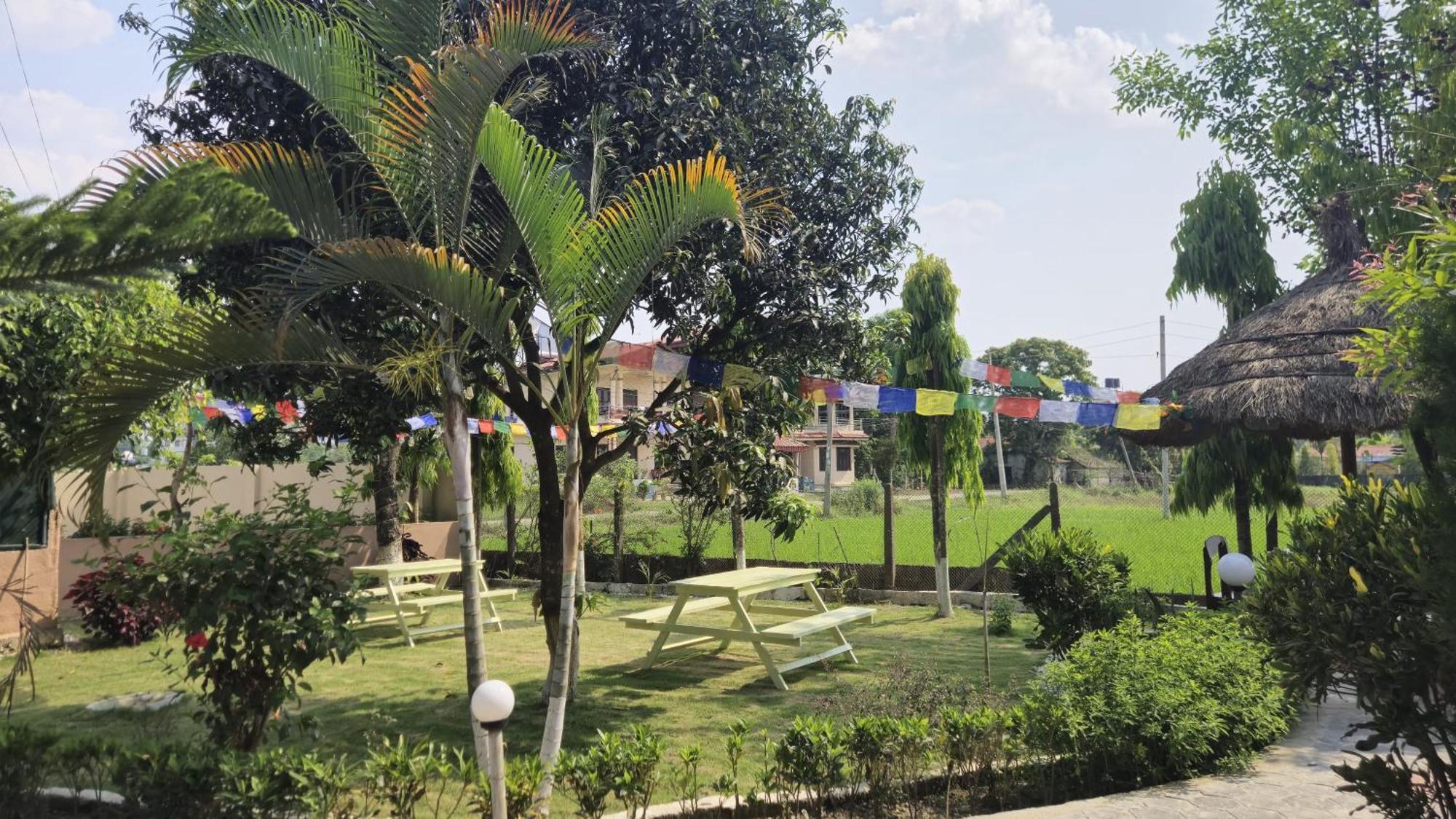 Hotel Tree Tops Sauraha Exterior foto